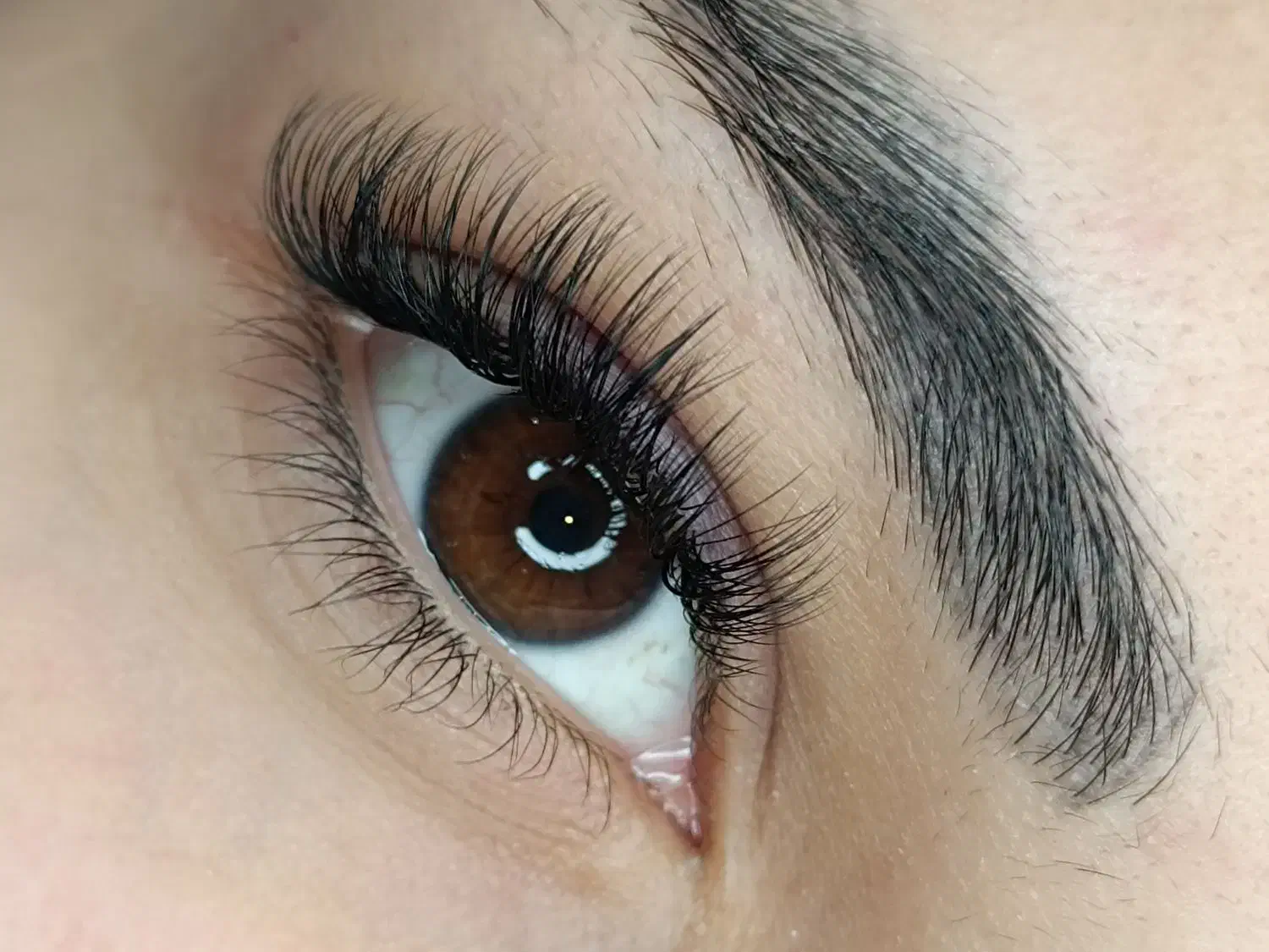 جشنواره اکستنشن مژه به مناسبت شب یلدا|خدمات آرایشگری و زیبایی|محمدشهر, محمدشهر|دیوار