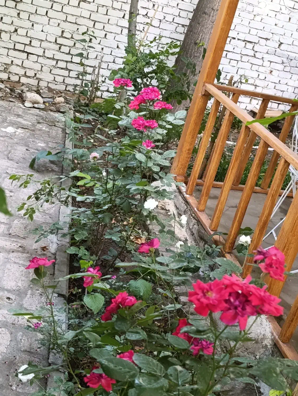 استخدام نیروی نگهبانی و خدماتی و باغبانی|استخدام سرایداری و نظافت|کوهسار (البرز), |دیوار