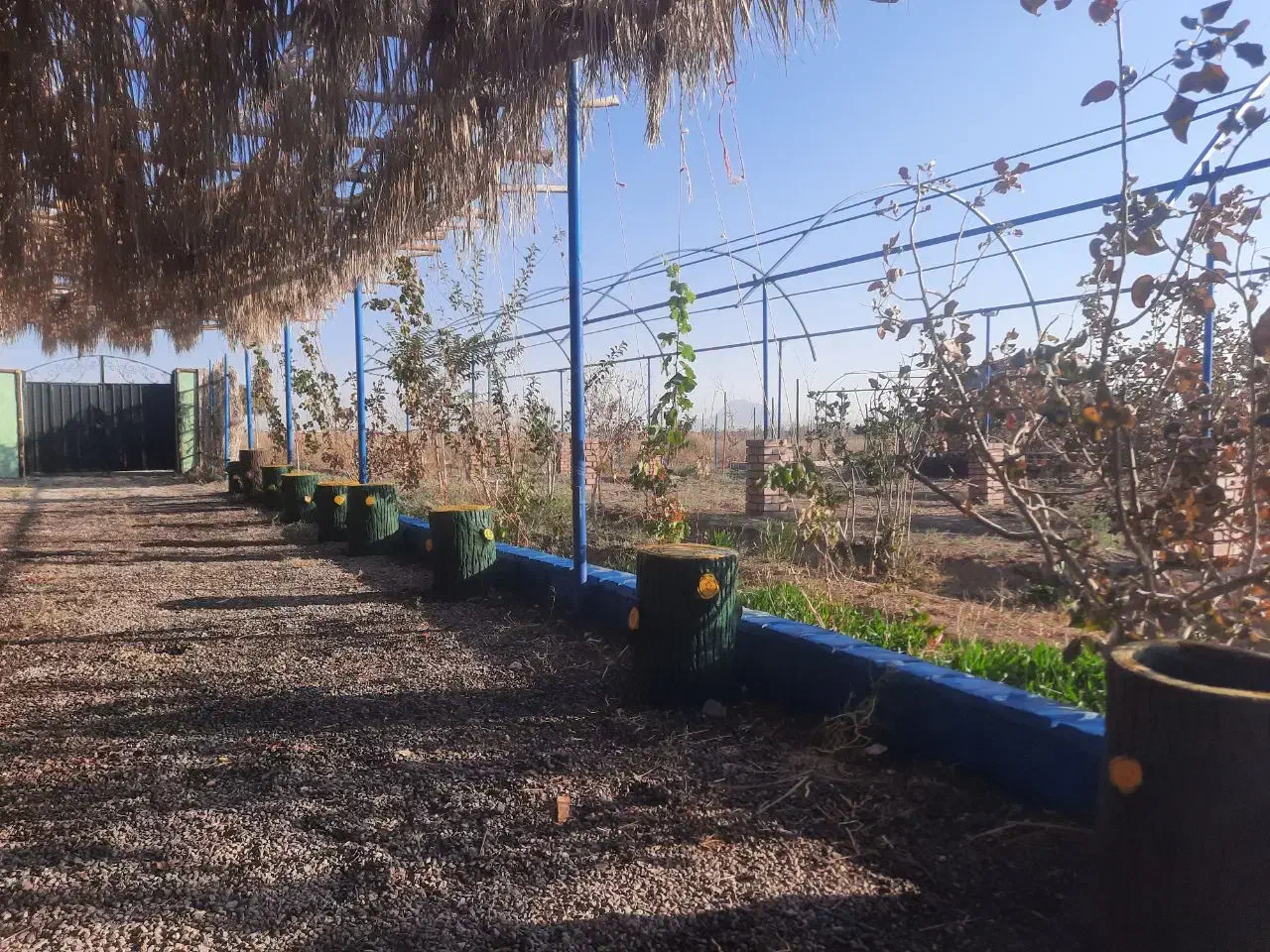 خانه،باغ|فروش خانه و ویلا|بردسیر, |دیوار