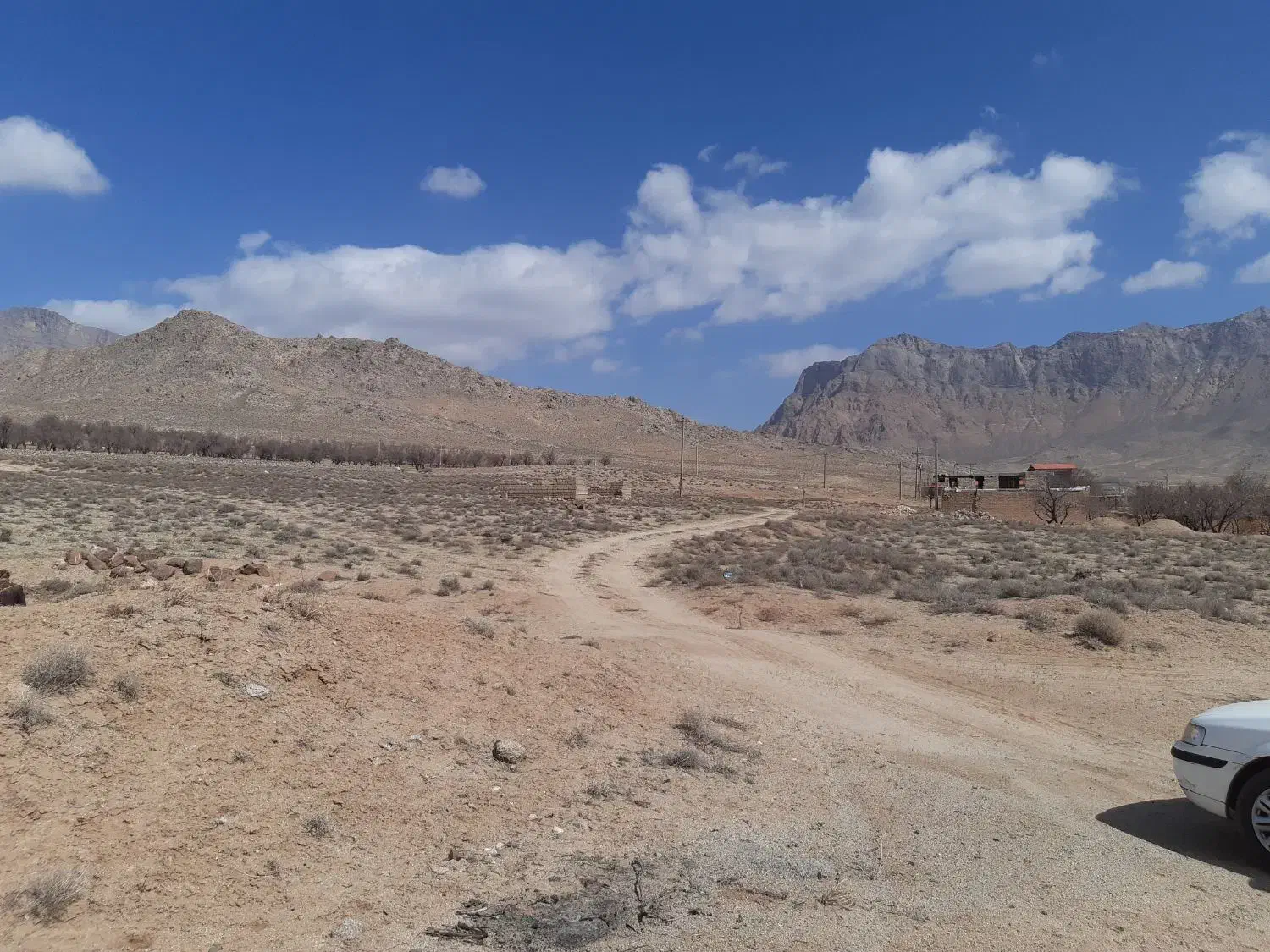 زمین تنگ چنار بادامک|فروش زمین و ملک کلنگی|مهریز, |دیوار