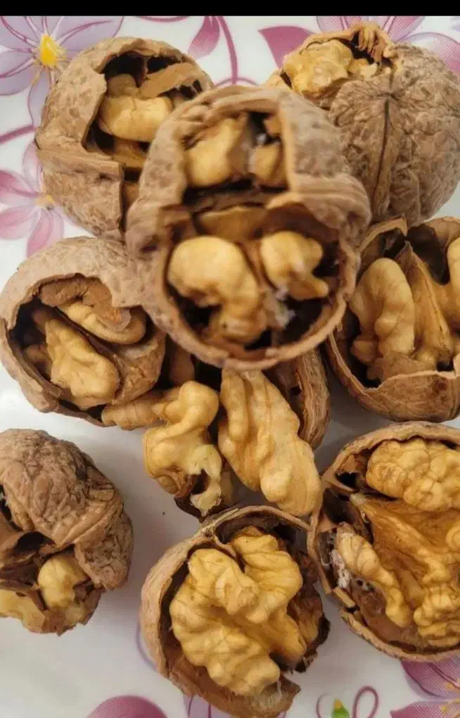 گردو درجه یک وشنوه|خوردنی و آشامیدنی|قم, انسجام|دیوار