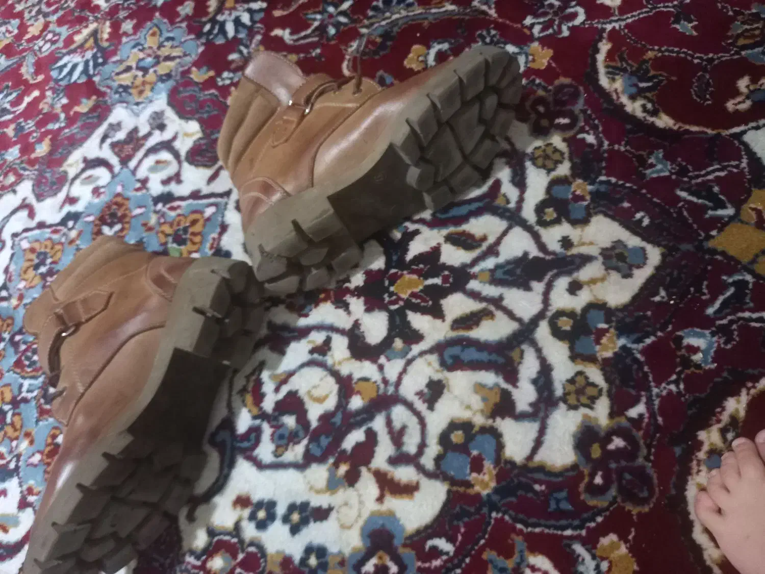 کفش|کیف، کفش، کمربند|شیراز, فرگاز|دیوار