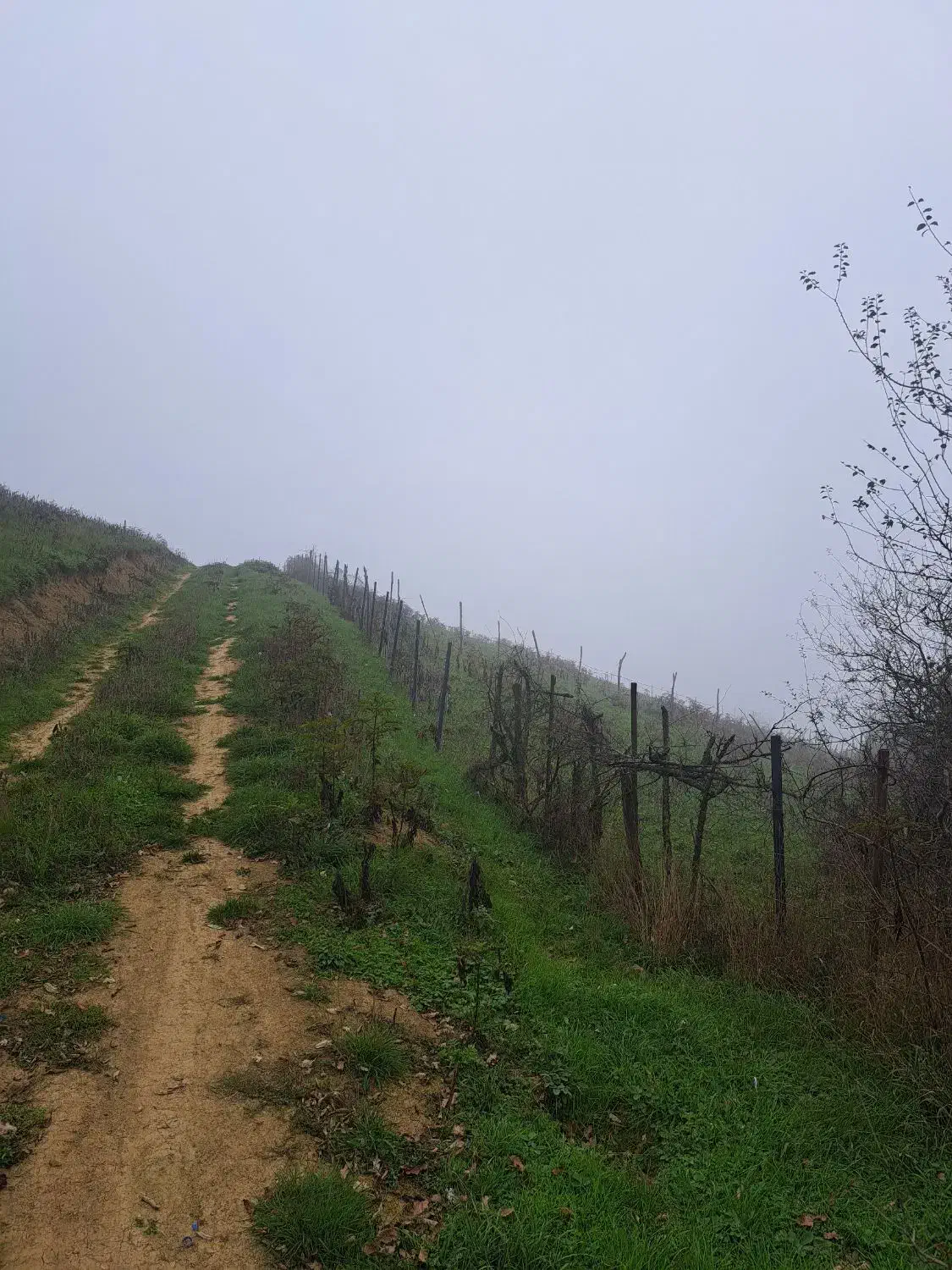 ۲۰۵ متر زمین در ییلاق زیبای لوییم با ویوی بی نظیر|فروش زمین و ملک کلنگی|رضوانشهر, |دیوار