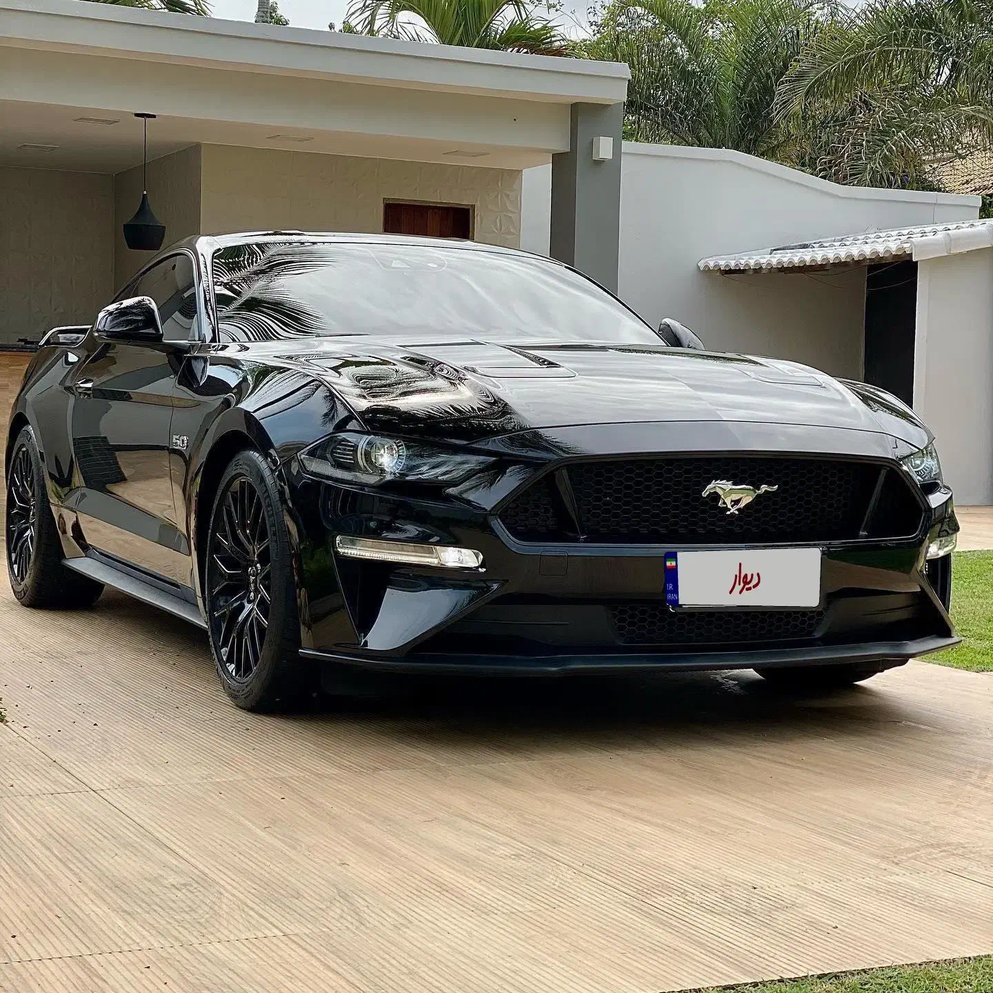 اجاره خودرو/رنت ماشین/کرایه اتومبیل/موستانگ|خودرو اجاره‌ای|کیش, |دیوار