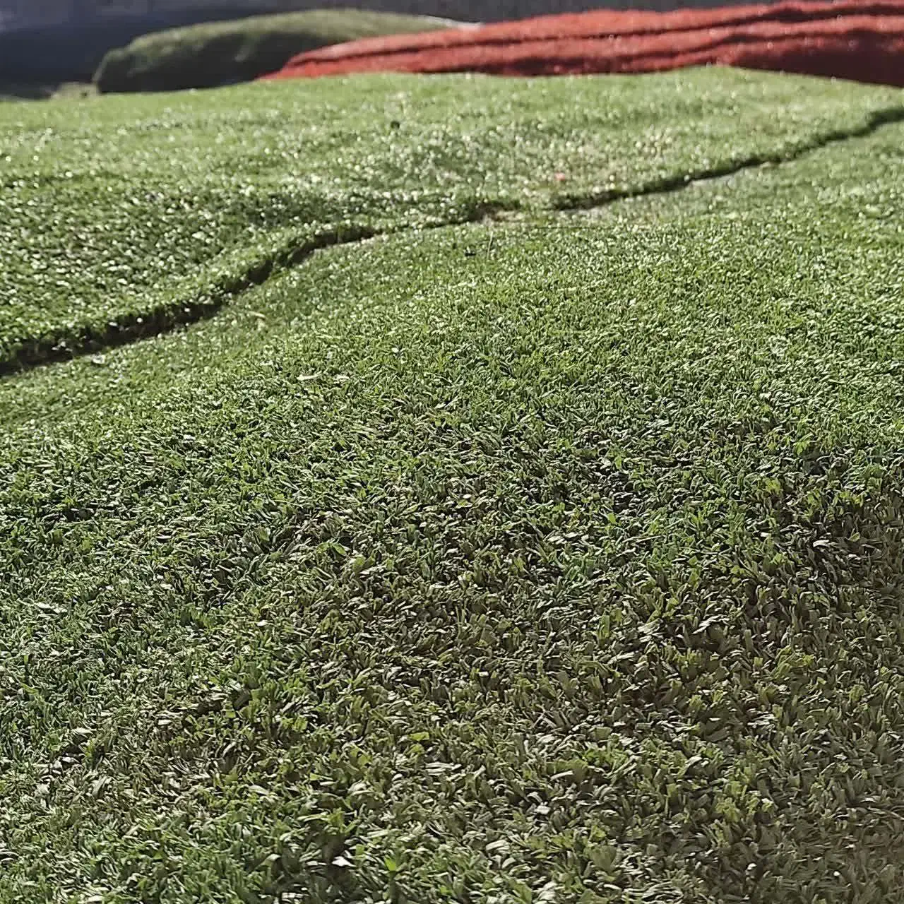 فروش چمن مصنوعی خارجی با کمترین قیمت|مصالح و تجهیزات ساختمان|تهران, ایران|دیوار