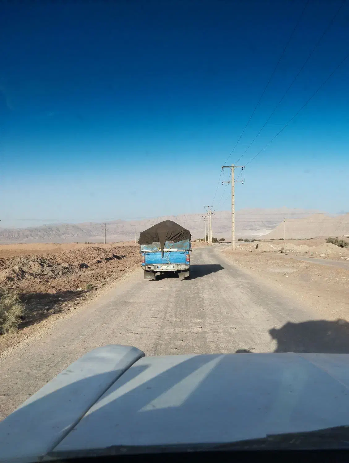 کود  مرغ موجود است|گل و گیاه طبیعی|جیرفت, |دیوار