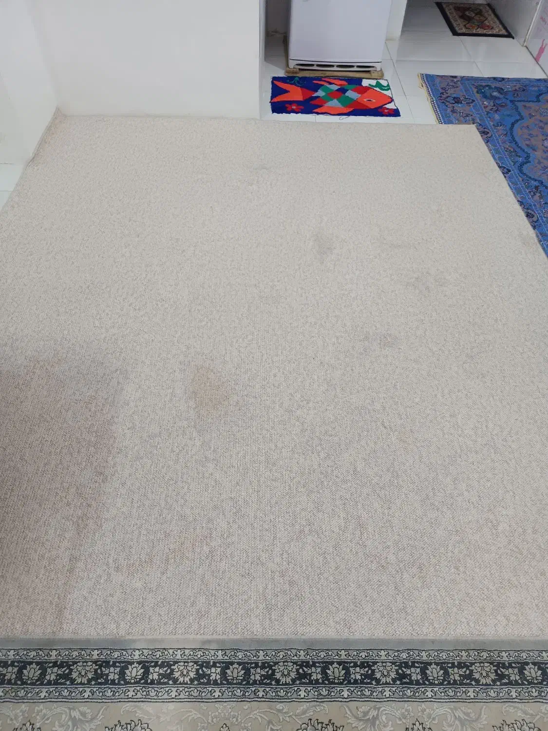 موکت فرش|موکت|مشهد, نظام دوست|دیوار