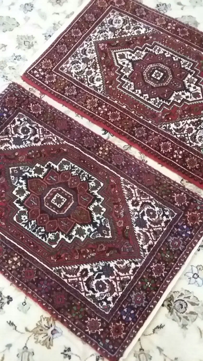 یک جفت فرش نو دستبافت بیجار|فرش|قم, بوستان علوی|دیوار