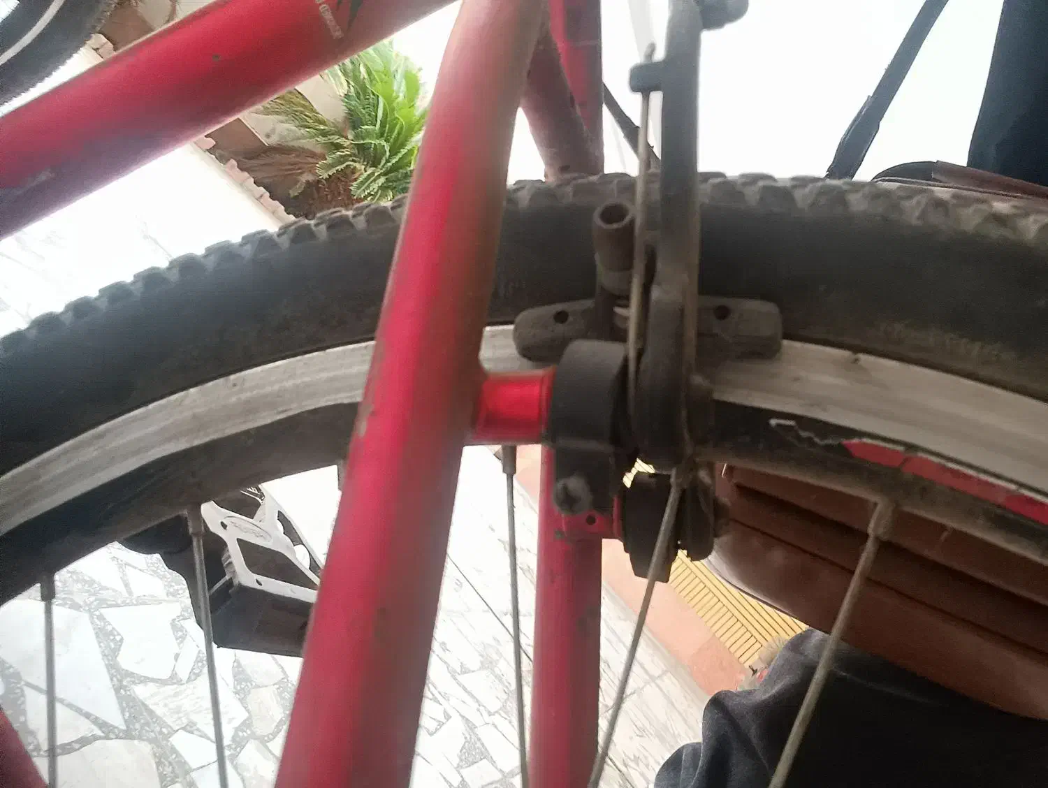 دوچرخه ۲۶|دوچرخه، اسکیت، اسکوتر|بابل, |دیوار