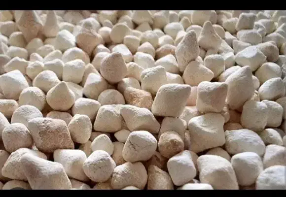 لبنیات سنتی خراسان کشک|خوردنی و آشامیدنی|مهریز, |دیوار