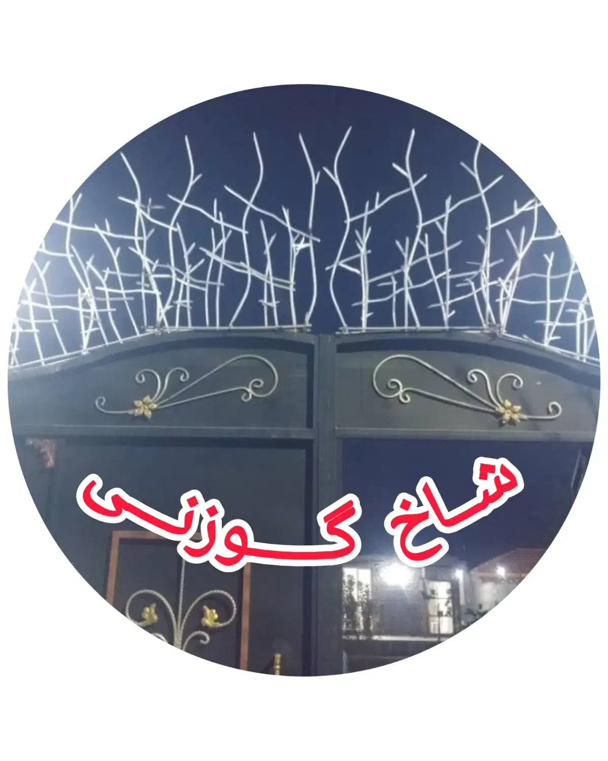 خانم عبدی - شاخ گوزنی با قیمت مناسب|خدمات پیشه و مهارت|سبزوار, کهنه آب|دیوار