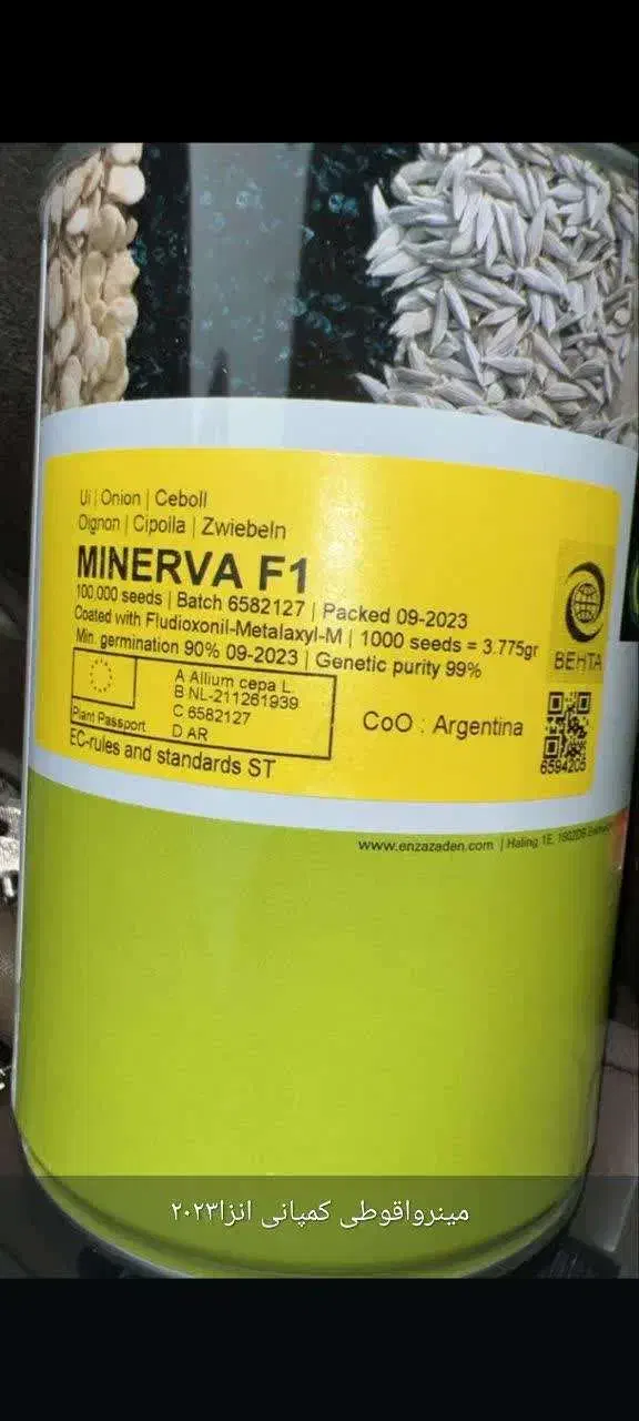 توزیع انواع بذرپیاز گوجه فرنکی هندوانه قیمت تعاونی|خدمات باغبانی و درختکاری|جیرفت, |دیوار