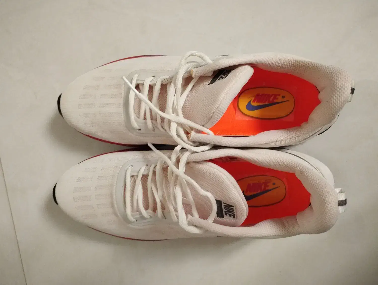 کفش فروشی|کیف، کفش، کمربند|مه ولات, |دیوار