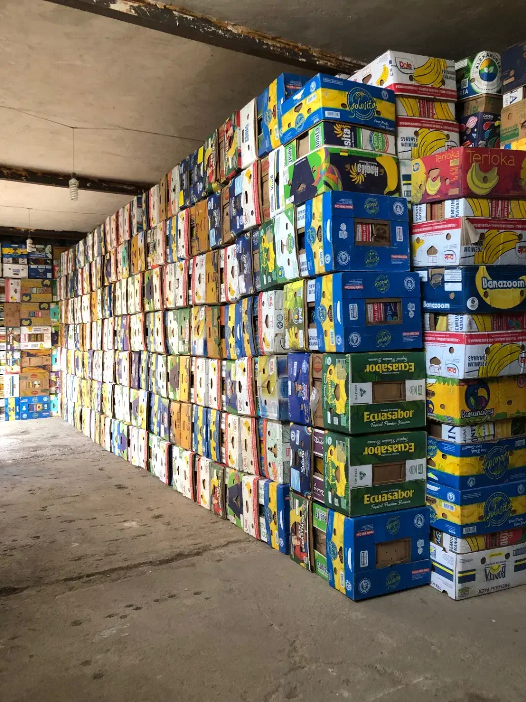 کارتن موزی یا موز|عمده‌فروشی|اردبیل, |دیوار