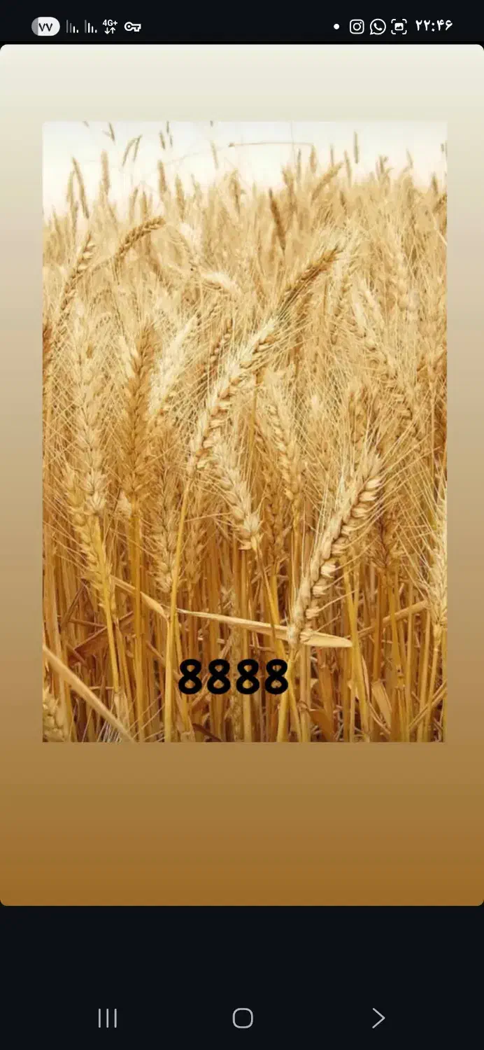 مشارکت و سرمایه گذاری|مشارکت در ساخت املاک|شیراز, باغ تخت|دیوار