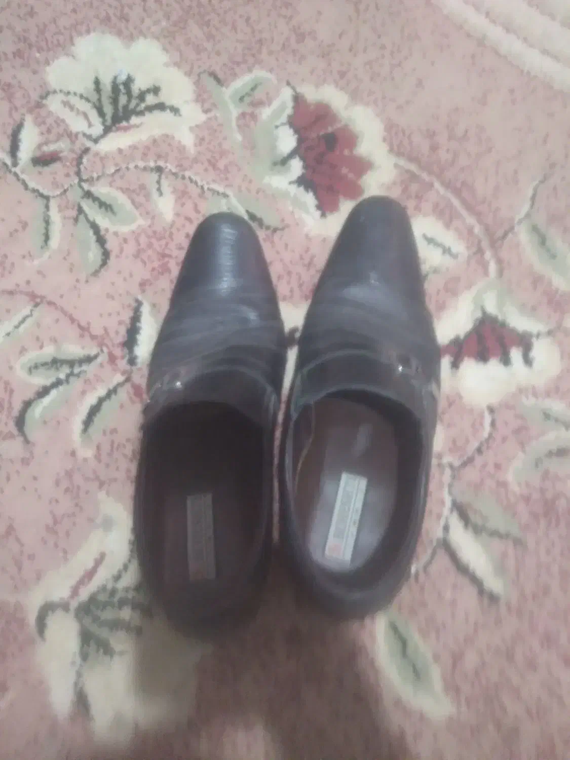 کفش مردانه|کیف، کفش، کمربند|بیرجند, |دیوار