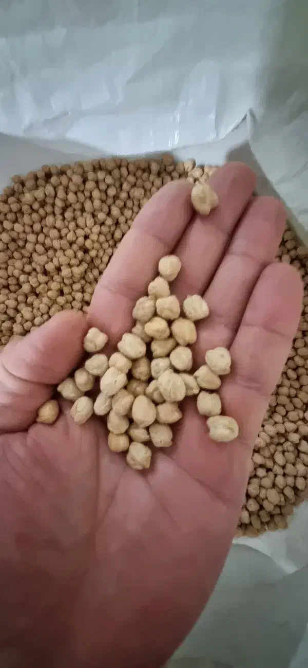 نخود|خوردنی و آشامیدنی|دهگلان, |دیوار