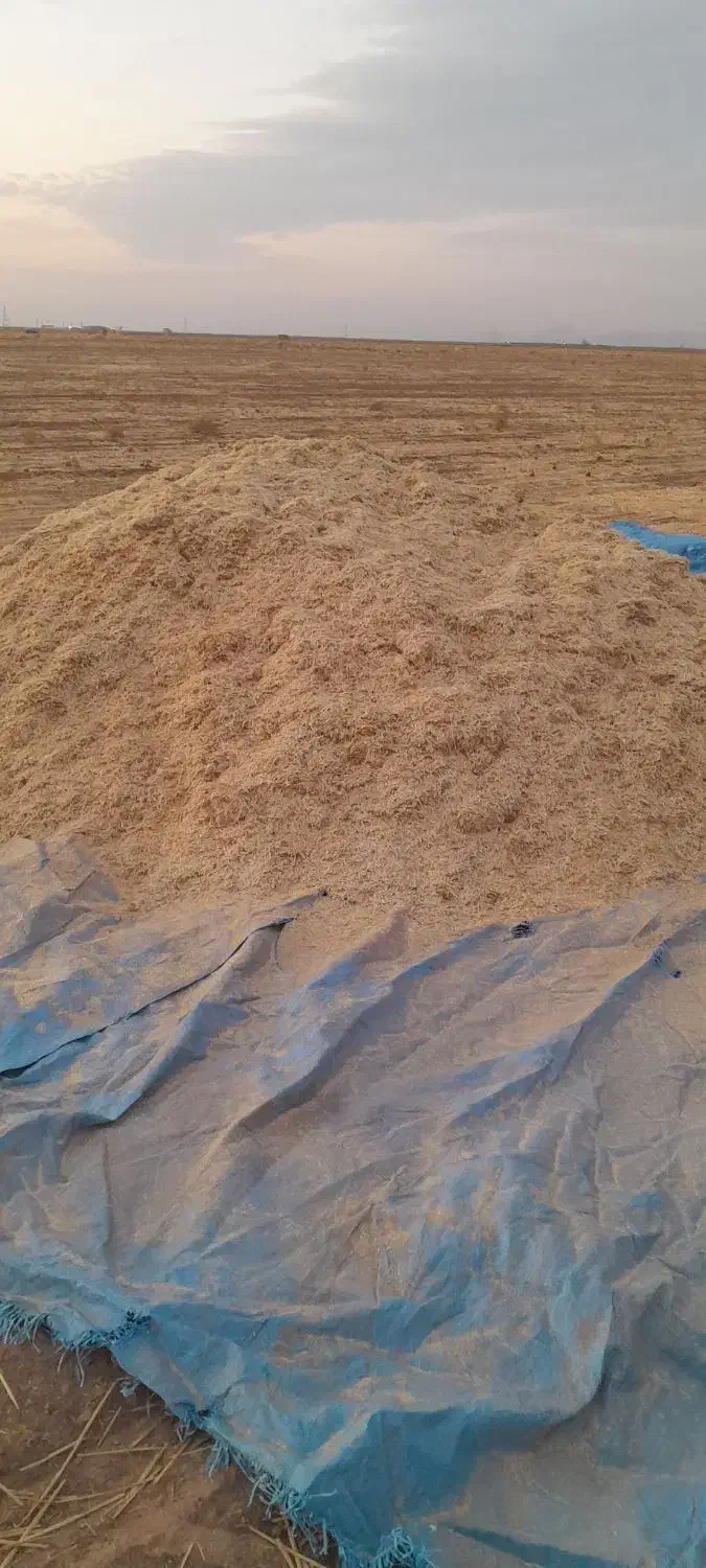 فروش کاه کاهکوب مناسب و تمیز|عمده‌فروشی|تربت جام, جامرود|دیوار