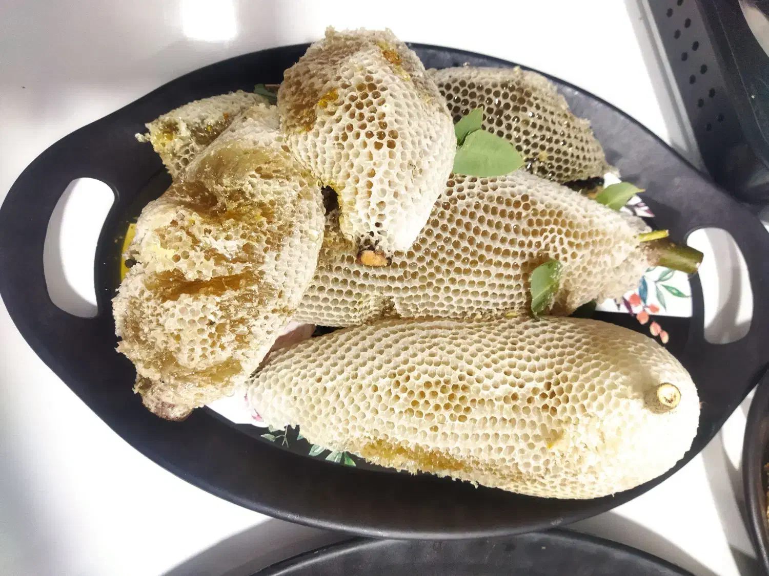 عسل وحشی کنار|خوردنی و آشامیدنی|اهواز, شهرک نفت|دیوار