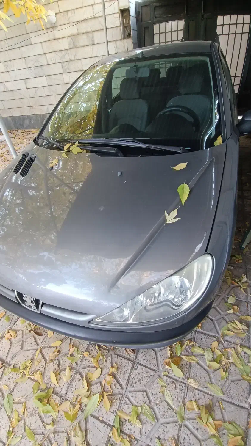 ۲۰۶تیپ ۵|خودرو سواری و وانت|قیدار, |دیوار