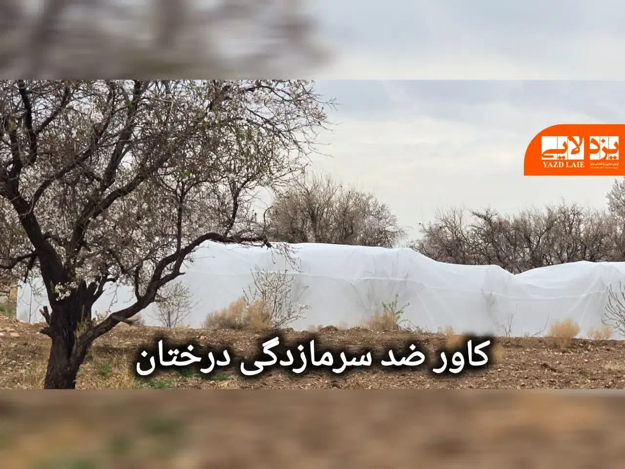 وکاور کشاورزی  فوم ضد سرمازدگی و ضد گرما زدگی|خدمات باغبانی و درختکاری|ارسنجان, |دیوار
