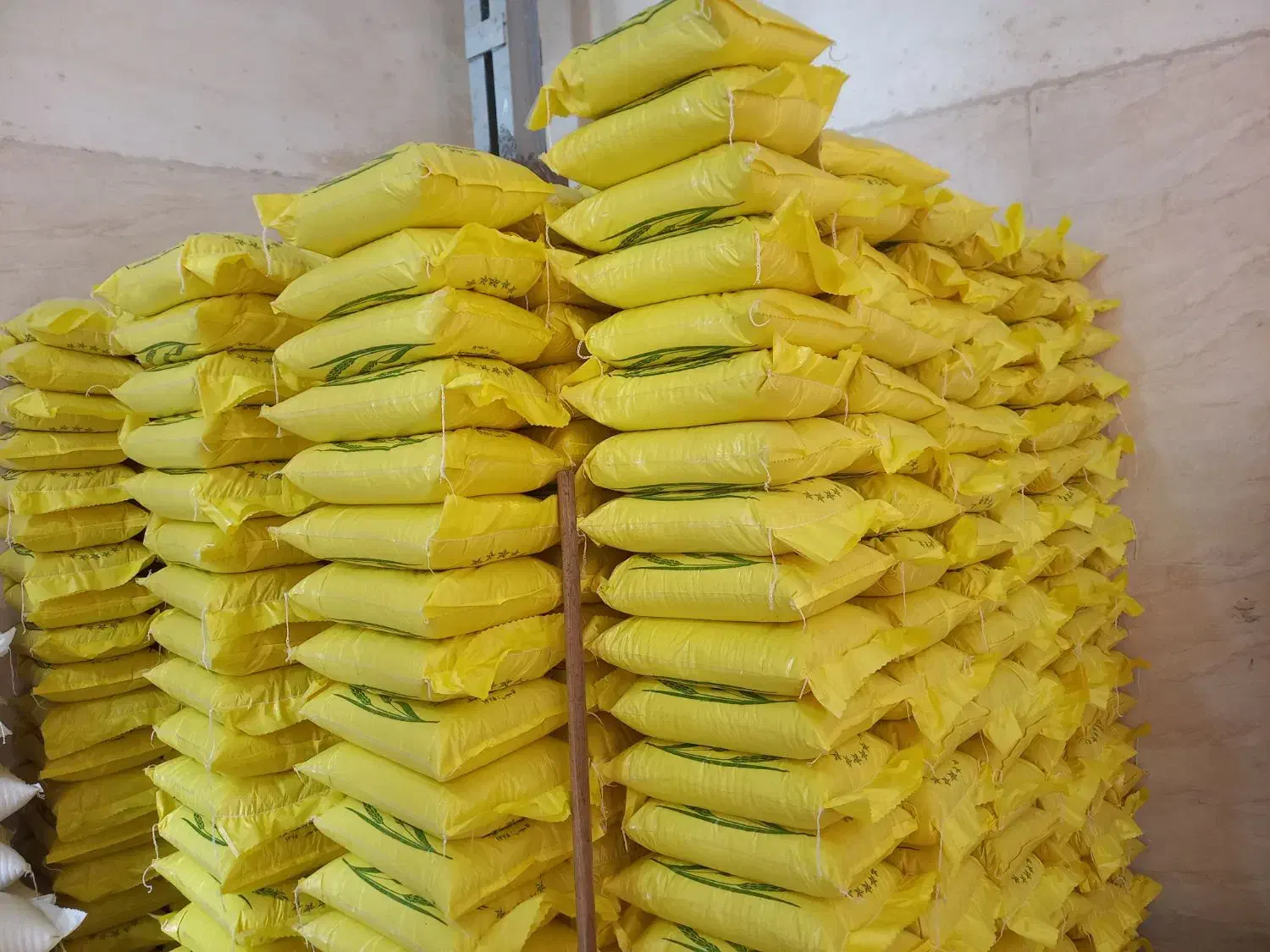 برنج طارم هاشمی سورت شده|عمده‌فروشی|لاهیجان, طالقانی|دیوار