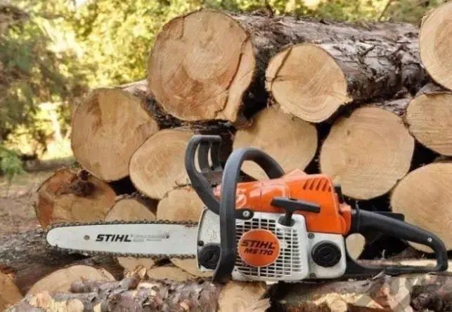 خریدار چوب های باغی|خدمات باغبانی و درختکاری|لردگان, |دیوار