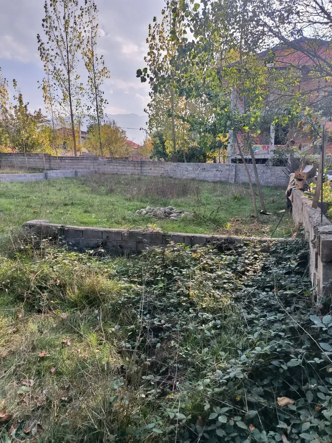 زمین|فروش زمین و ملک کلنگی|کلاردشت, |دیوار