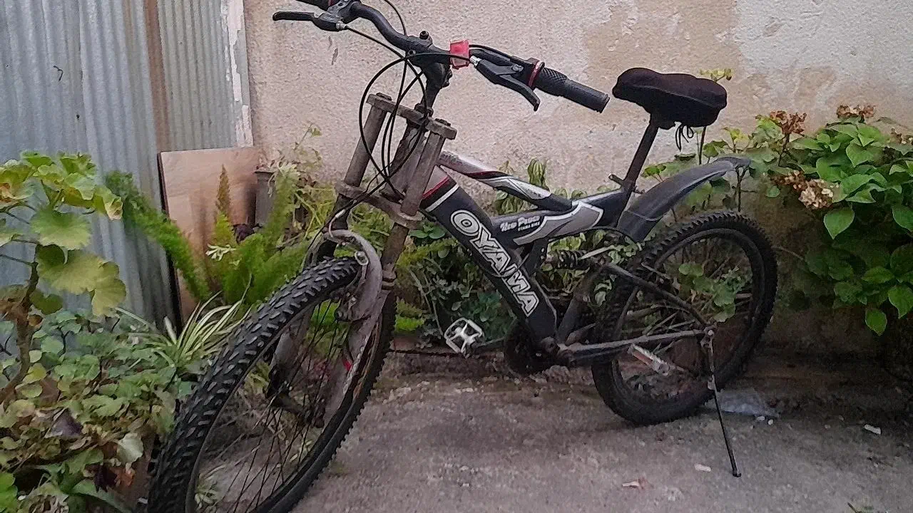 دوچرخه|دوچرخه، اسکیت، اسکوتر|رشت, جماران|دیوار