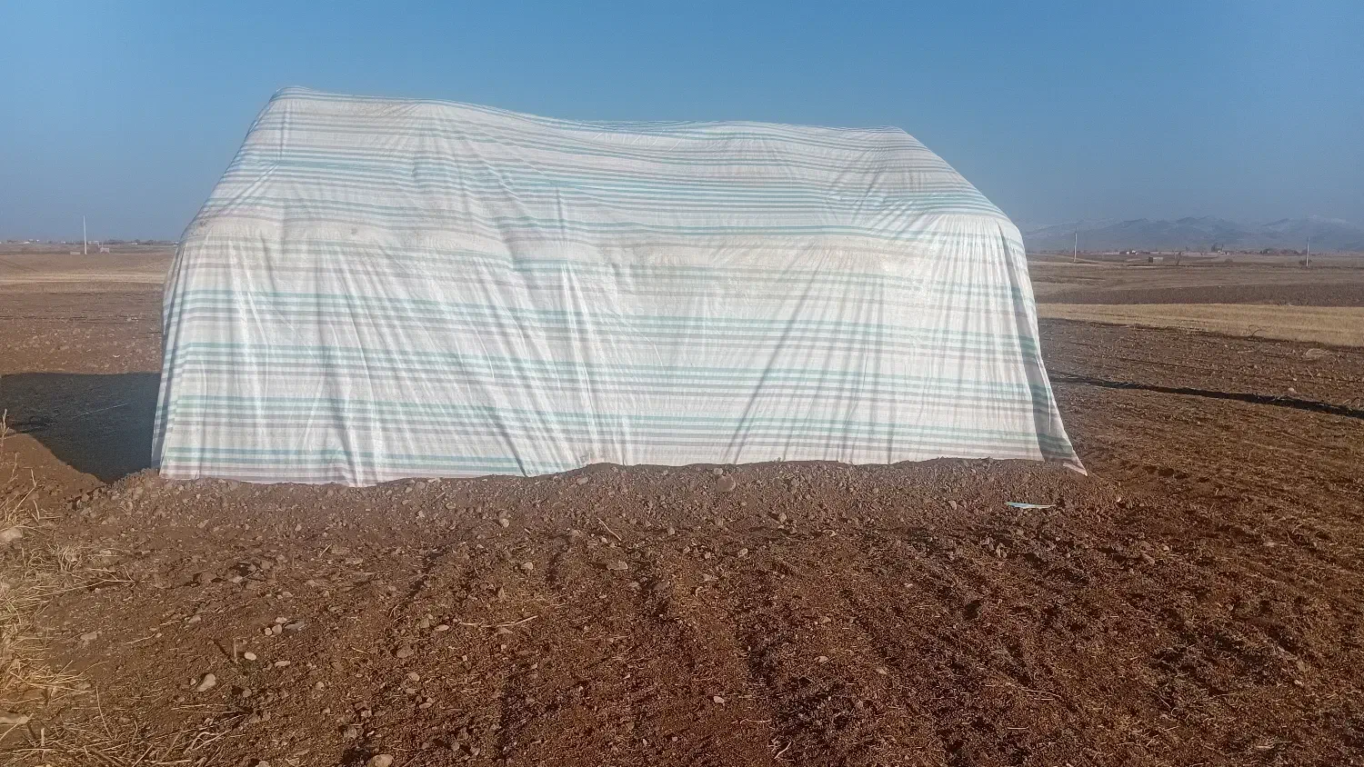 کاه لوبیا|حیوانات مزرعه|دوتپه, |دیوار