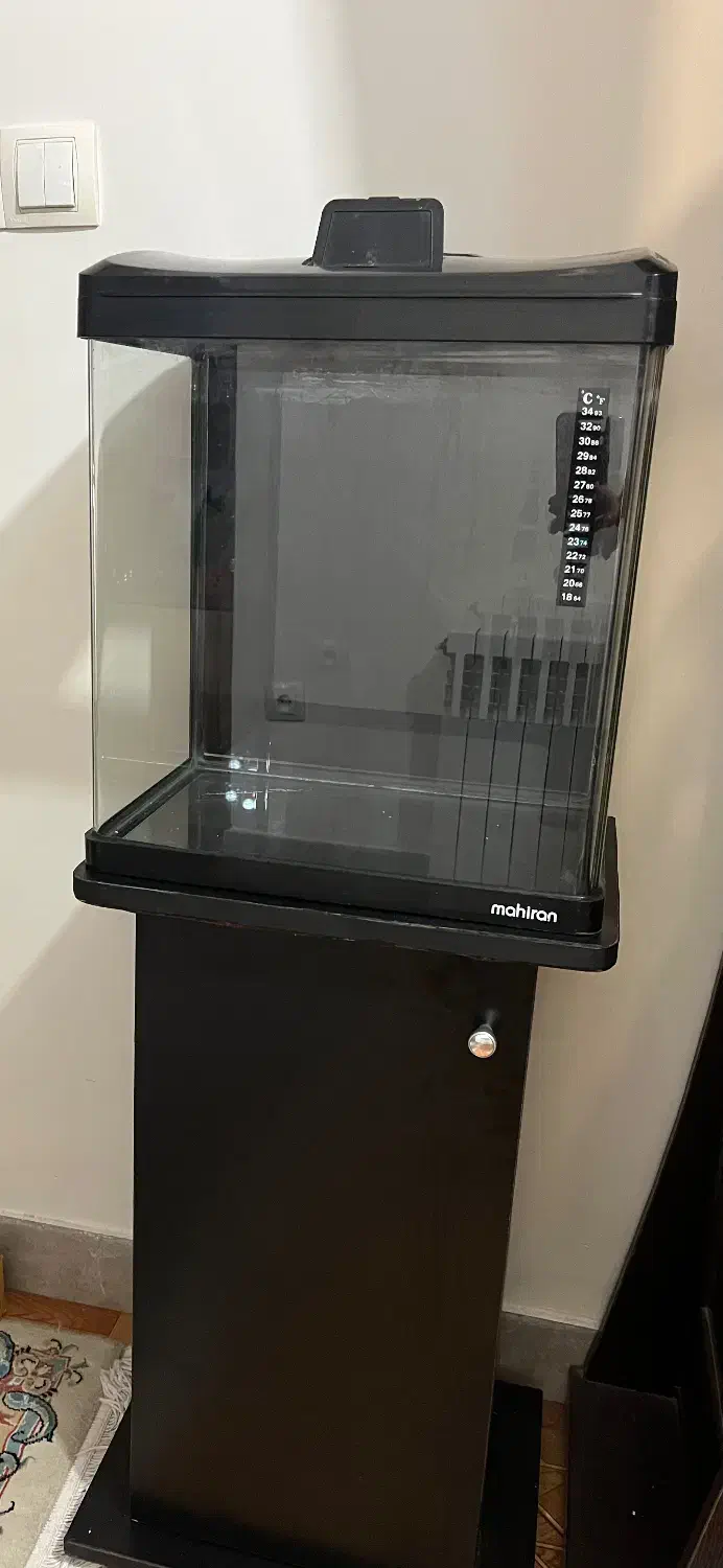 آکواریوم|ماهی|پردیس, فاز ۲|دیوار