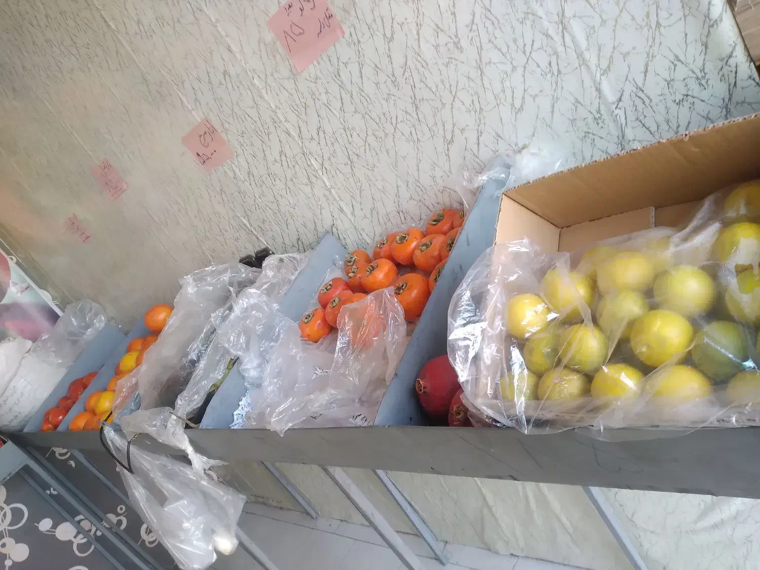 استند میوه فروشی|عمده‌فروشی|کاشان, فاز ۲ ناجی آباد|دیوار