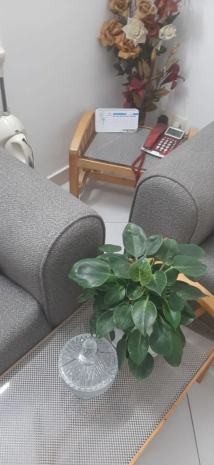 جلومبلی|مبلمان خانگی و میز عسلی|گلبهار, شهر جدید گلبهار|دیوار