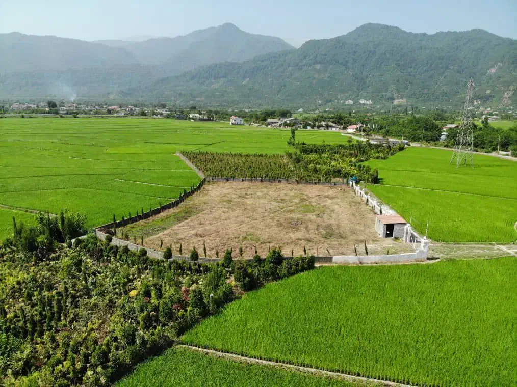 فروش زمین مسکونی زراعی ۱۶۶۵ متری با مجوز ساخت|فروش زمین و ملک کلنگی|چابکسر, |دیوار