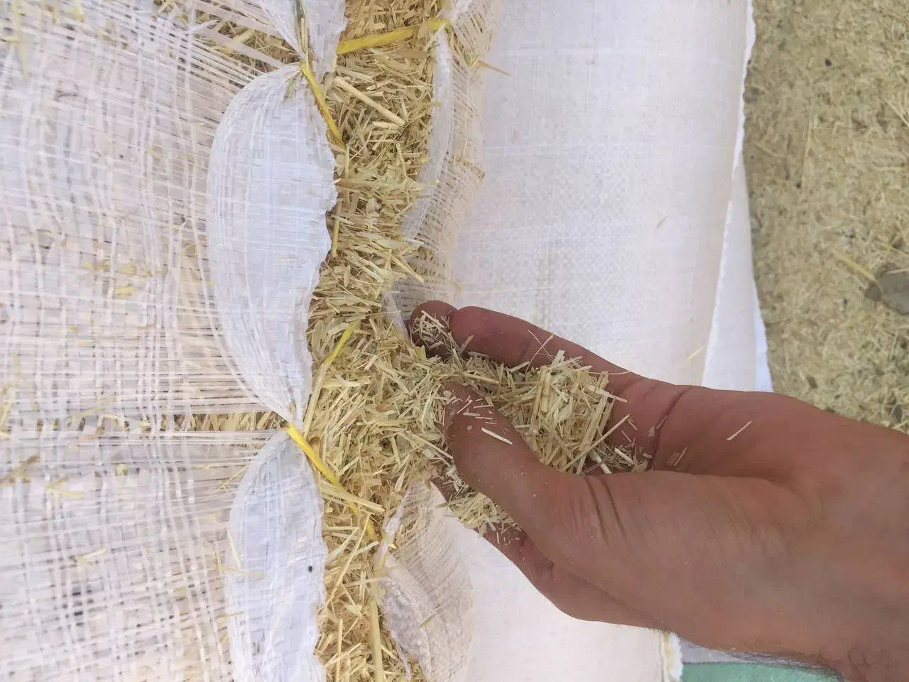 خرید و فروش کاه و یونجه|حیوانات مزرعه|قروه, |دیوار