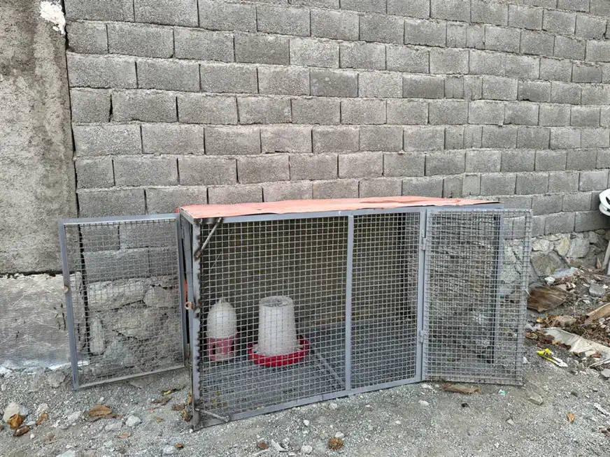 قفس|حیوانات مزرعه|کوهسار (البرز), |دیوار