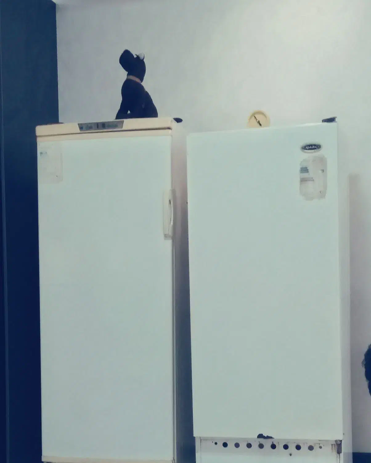 یخچال و فریزر|یخچال و فریزر|اهواز, کوی باهنر|دیوار