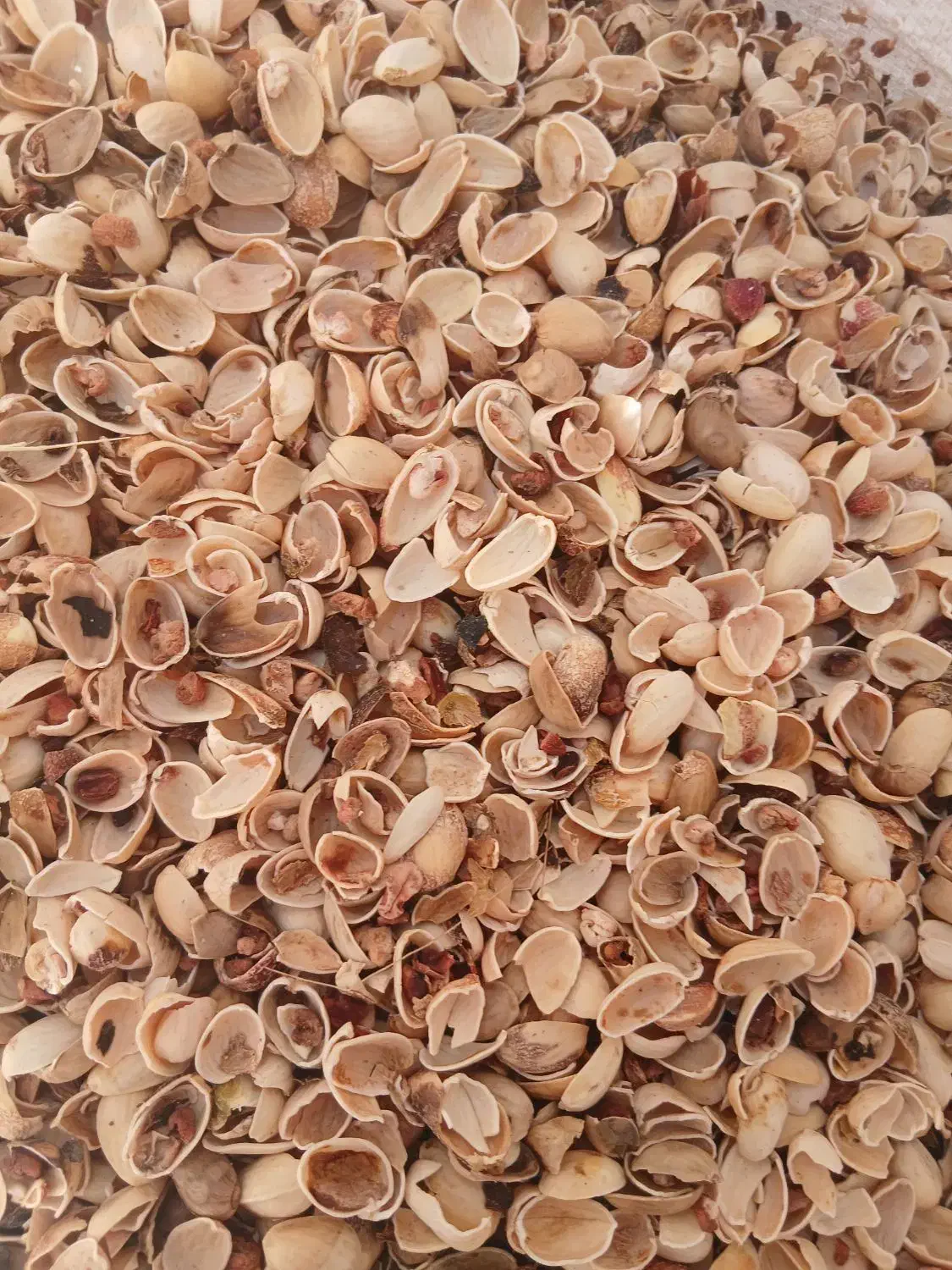 خریدار پوست پسته|خدمات باغبانی و درختکاری|رفسنجان, |دیوار