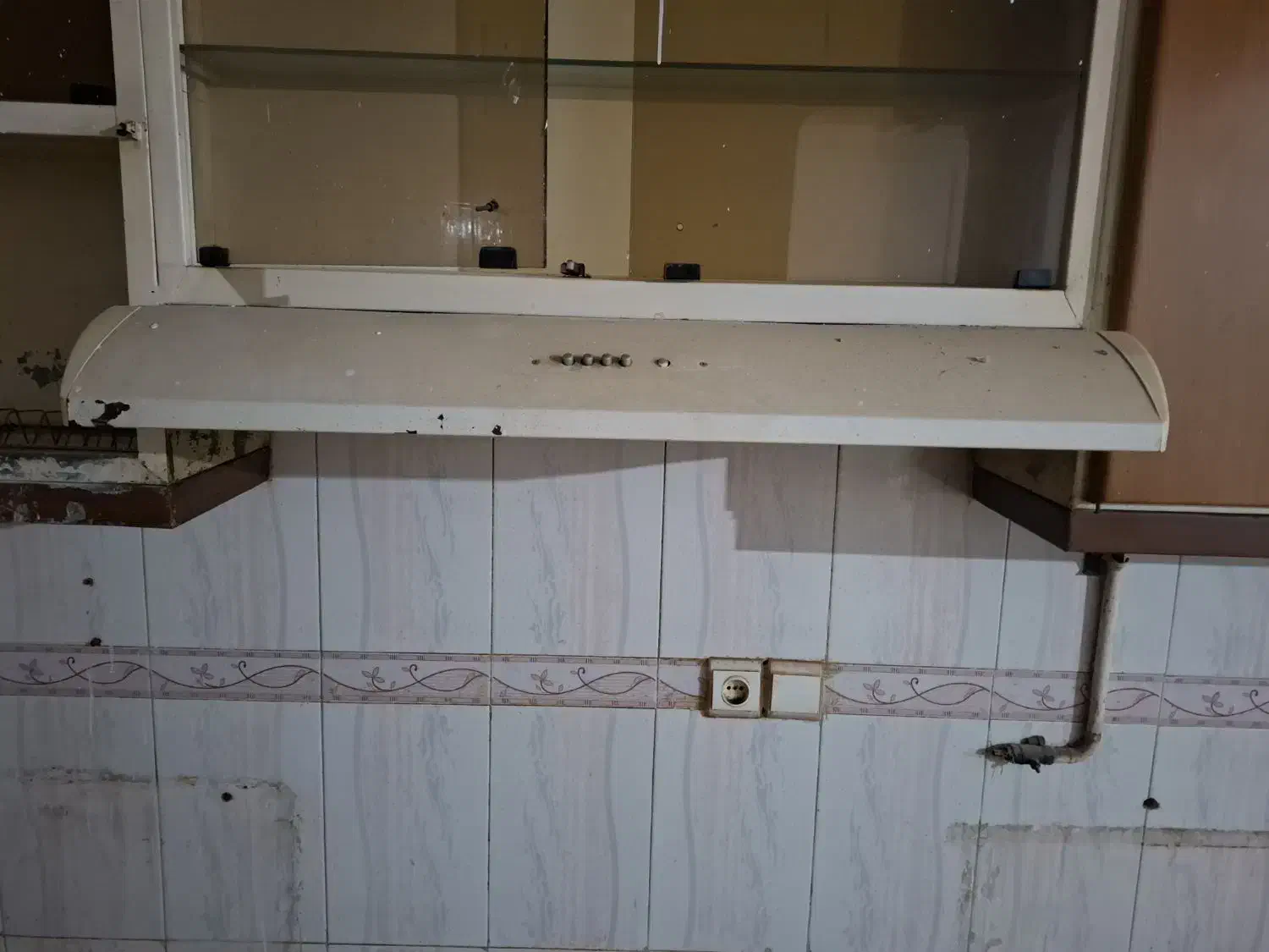 هود|هود|فیروزه, |دیوار