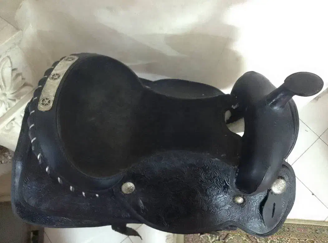 زین کابویی|اسب و تجهیزات اسب‌سواری|پاکدشت, پاکدشت (مامازند)|دیوار