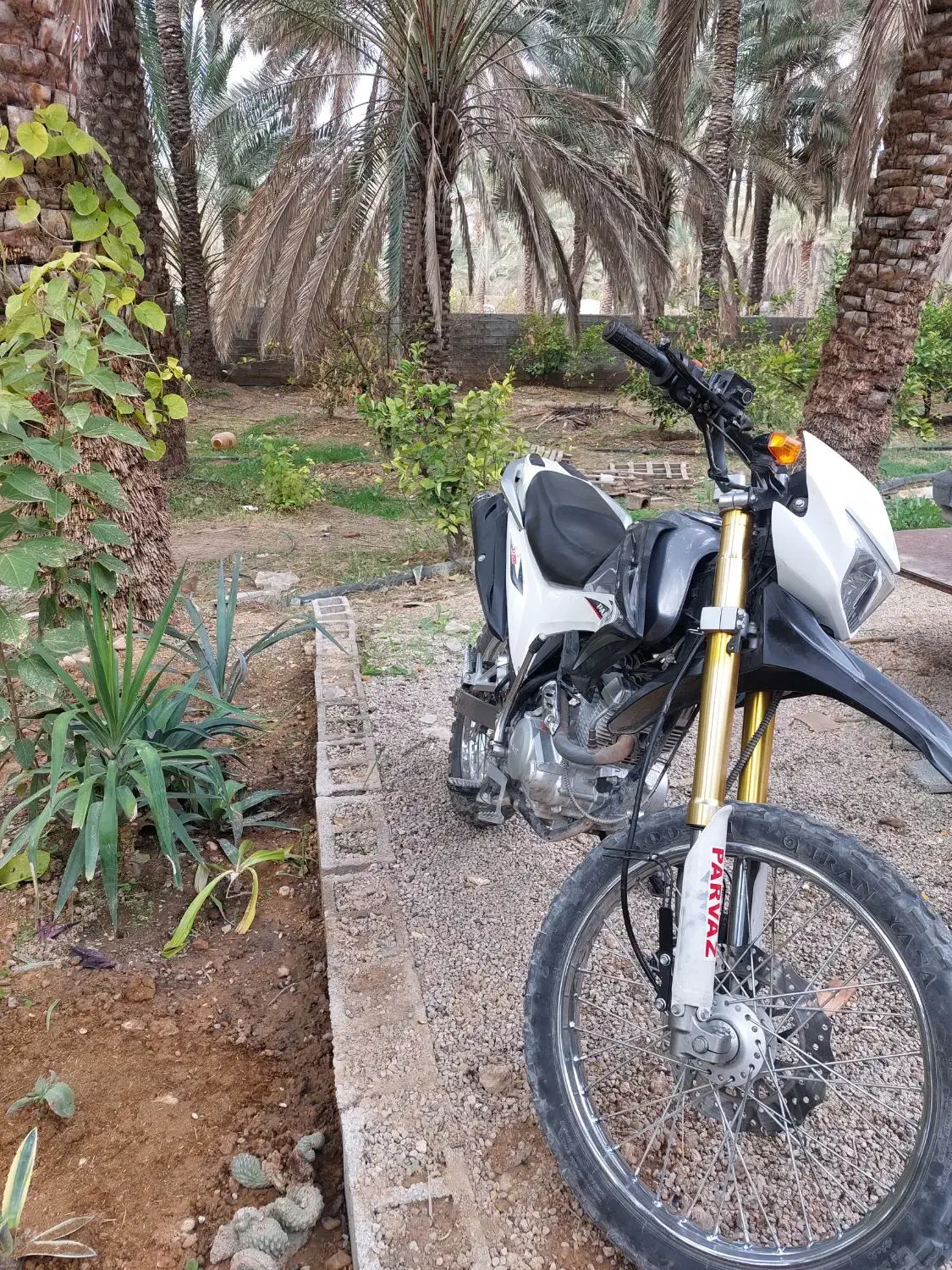 موترتریل پرواز ۲۰۰|موتورسیکلت|جهرم, |دیوار