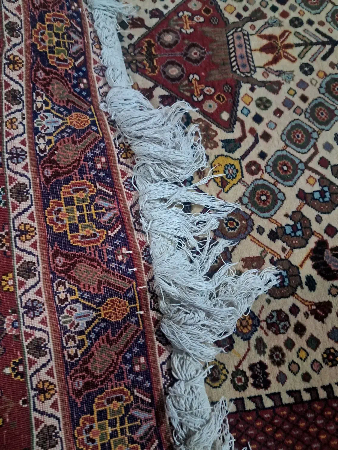 فرش|فرش|شیراز, کوزه گری|دیوار