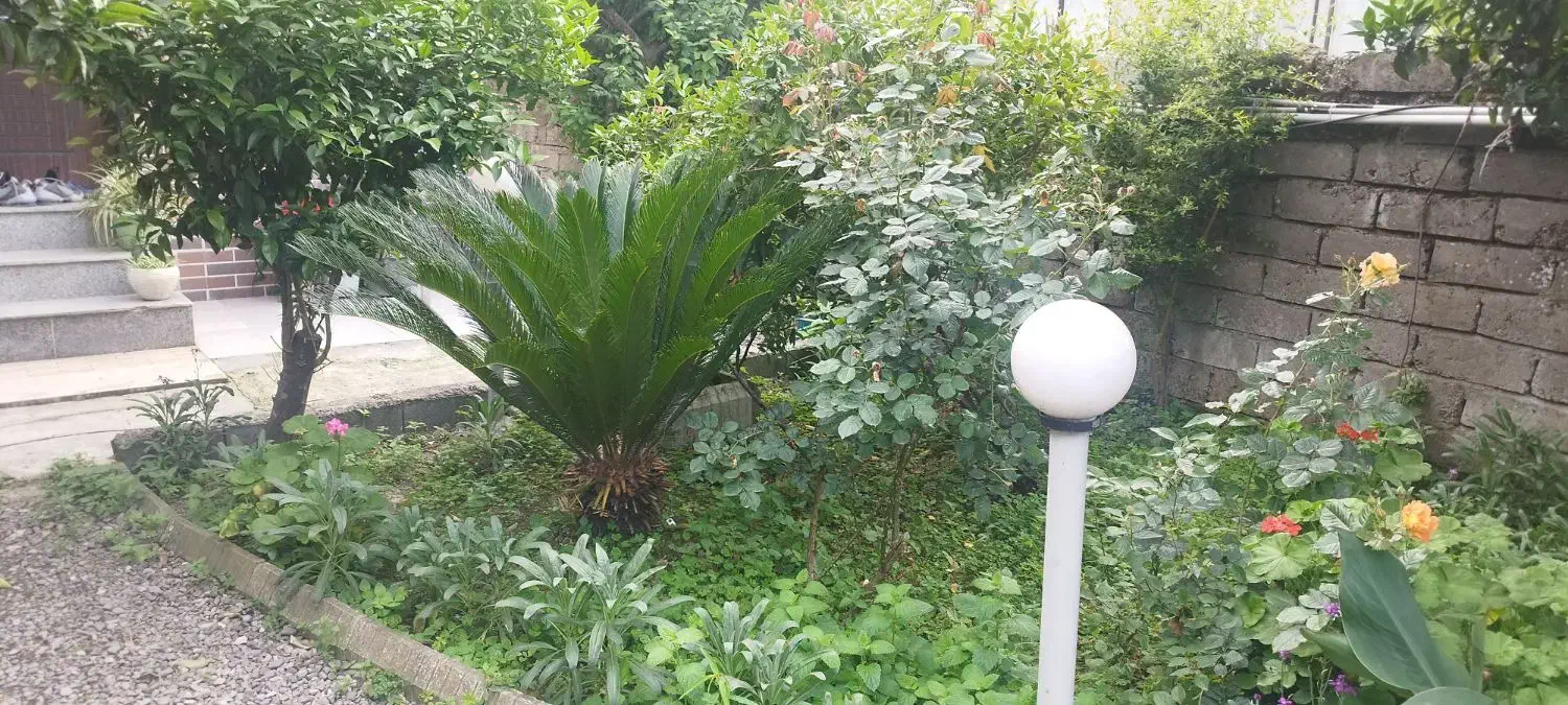 ویلا پای کوه|اجارهٔ کوتاهمدت ویلا و باغ|لاهیجان, لیالستان|دیوار