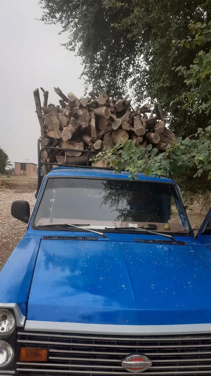 خرید چوب|خدمات باغبانی و درختکاری|دزفول, |دیوار