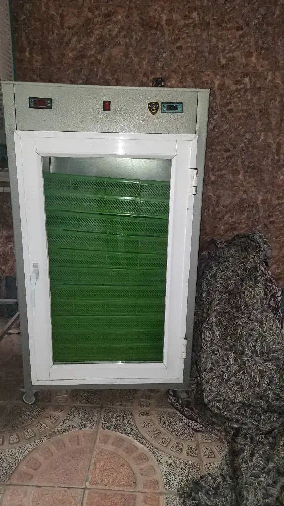 میوه خشک|عمده‌فروشی|هشتگرد, هیو|دیوار