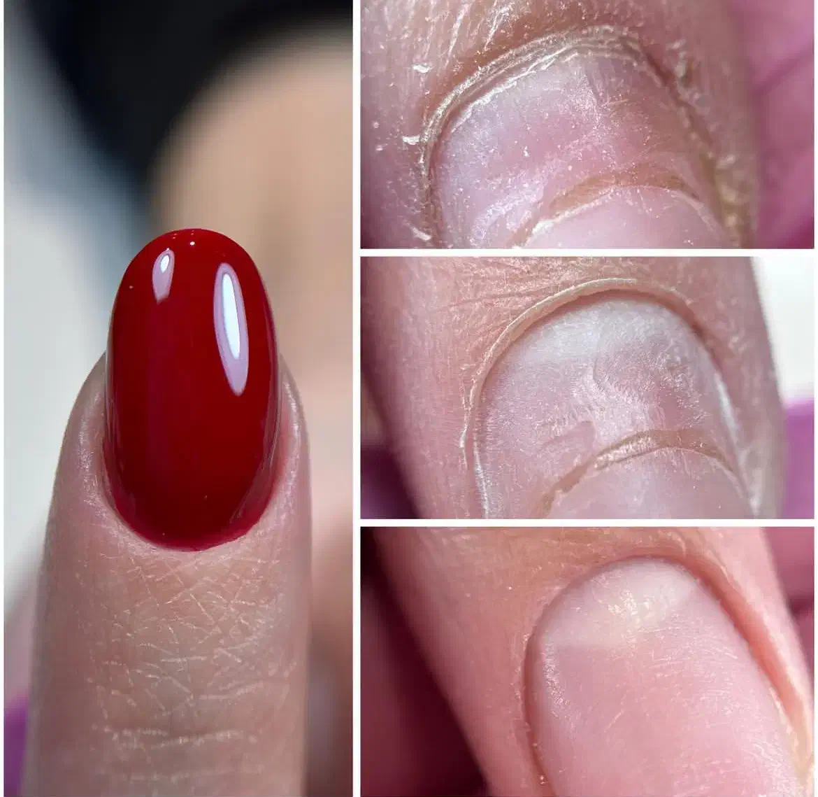 ورکشاپ تخصصی آموزش پودر ناخن ویژه یلدا|خدمات آموزشی|فردیس, فردیس|دیوار