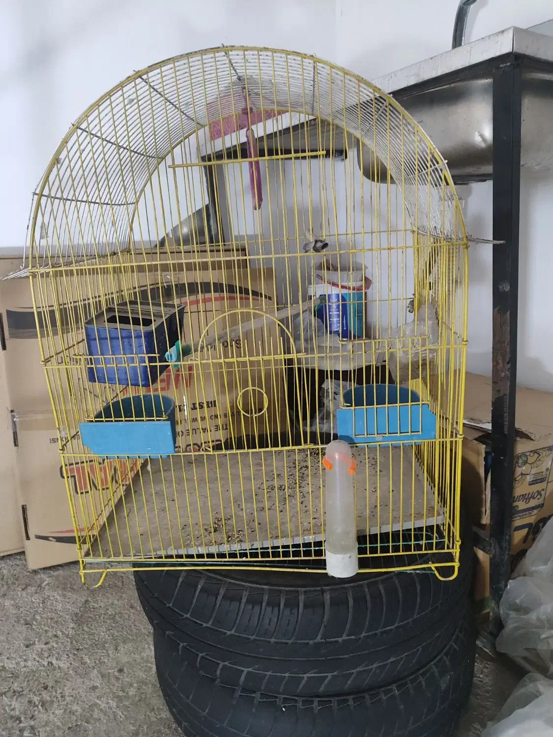 قفس پرنده|لوازم جانبی حیوانات|اندیشه, اندیشه فاز ۱|دیوار