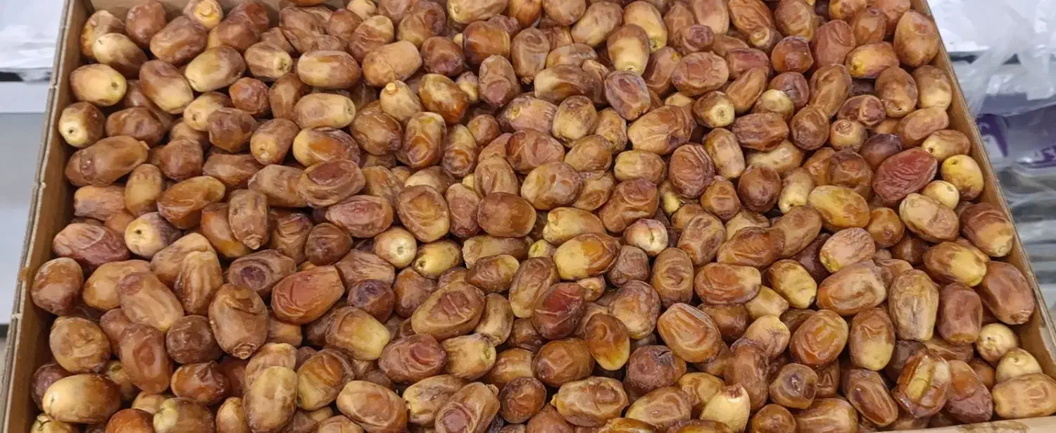 زاهدی خشت شیراز|حراج|تهران, تجریش|دیوار