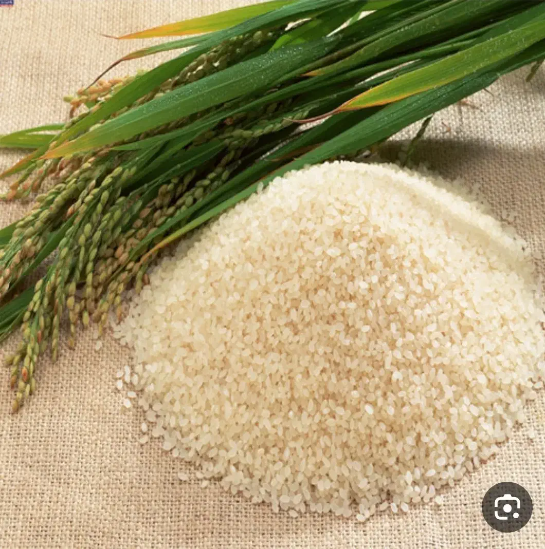 فروش برنج محلی درجه یک|عمده‌فروشی|کیش, |دیوار