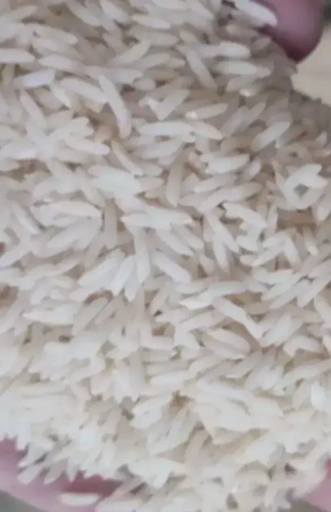 برنج هاشمی اصل اصل|خوردنی و آشامیدنی|اردبیل, |دیوار